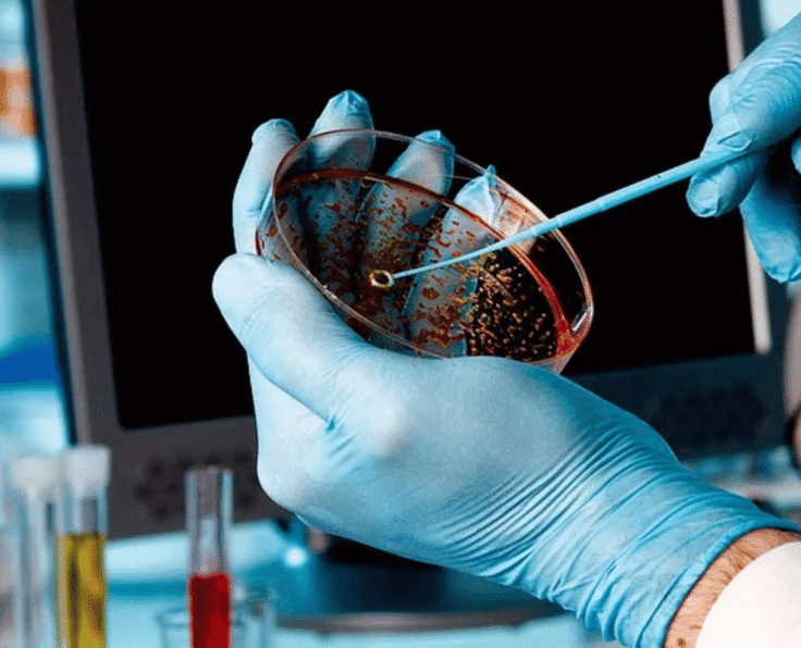 Untitled design - 2025-04-30T094143.302