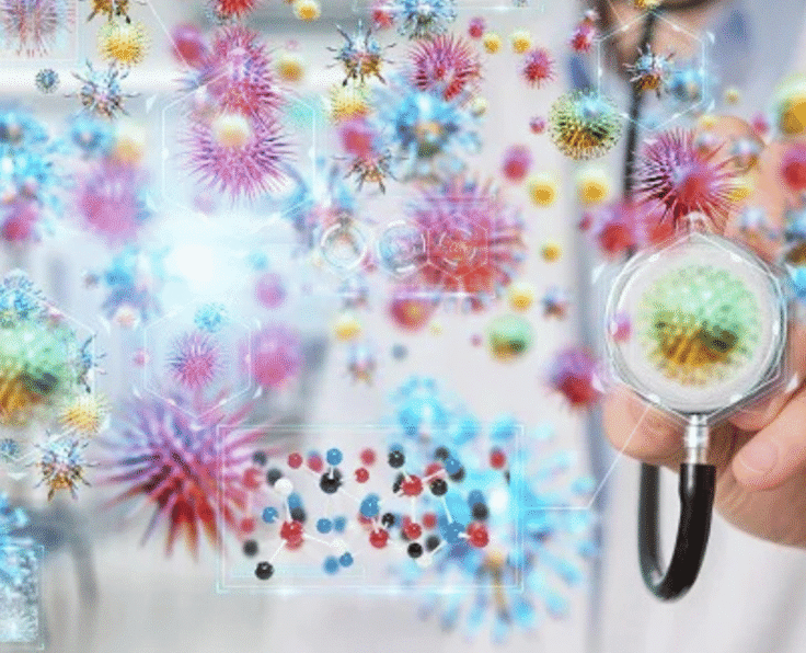 Untitled design - 2025-04-30T100849.430